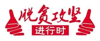 路户村委会最新招聘信息汇总