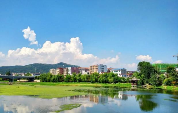 蚌埠市首府住房改革委员会办公室新项目，推动城市住房改革，民生改善再提速