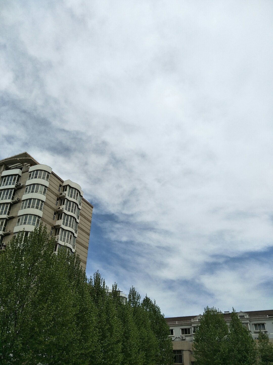 朐阳街道天气预报更新