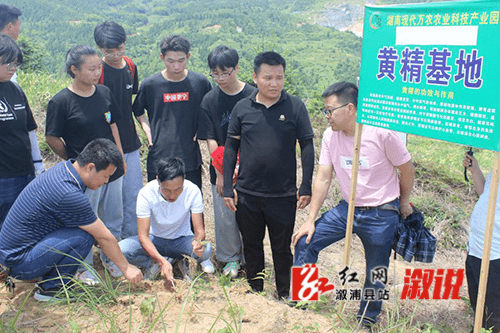 黄茅园镇最新项目，地方发展的强大引擎启动点