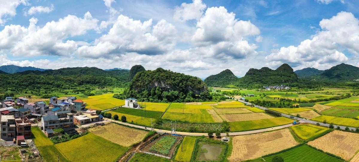 岩山乡交通最新动态