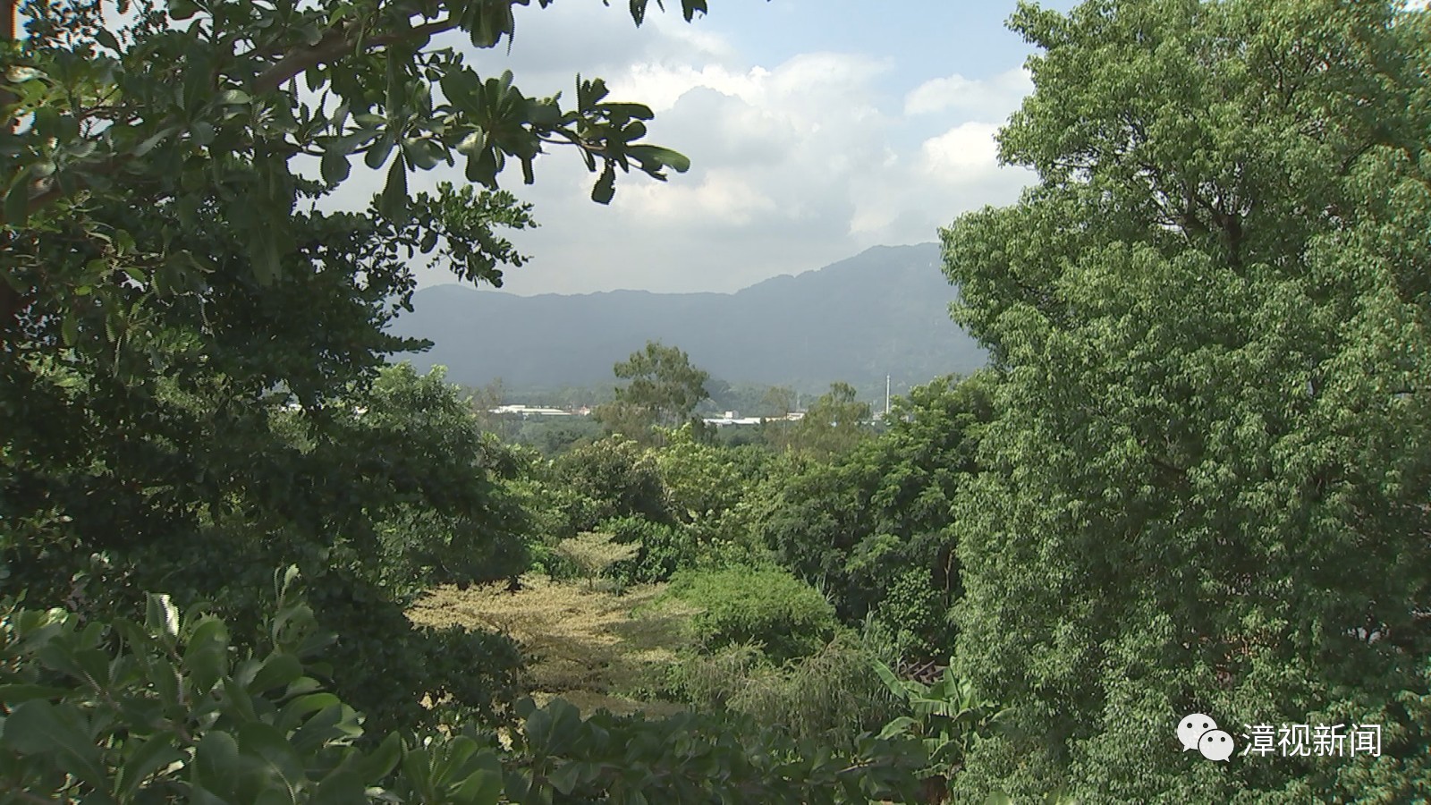 峻山林场领导团队引领未来发展新篇章