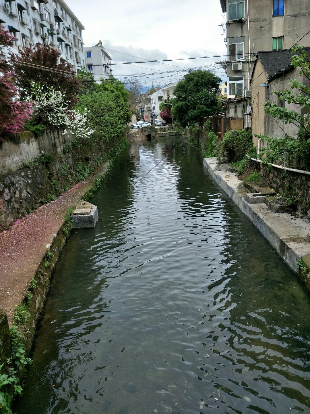 乌溪镇天气预报更新通知