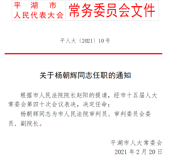 鱼山村委会人事大调整，重塑领导团队，引领乡村未来发展