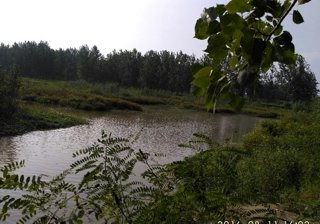 茅山镇天气预报更新通知